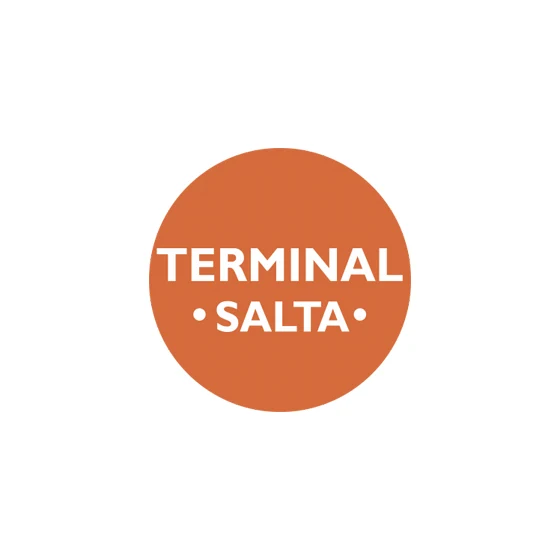 TERMINAL SALTA